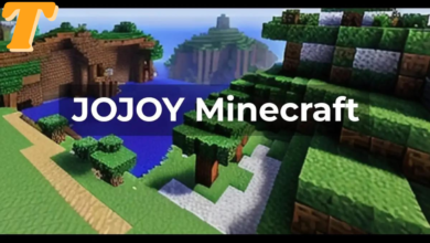 Jojoy Minecraft